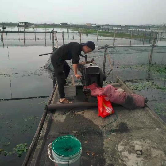 阳澄湖蟹农每家必备的水泥船